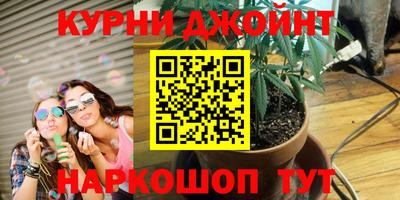 прущие грибы Донской