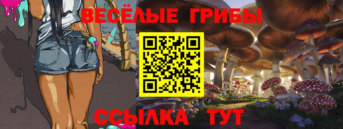 Галлюциногенные грибы Cubensis Лесосибирск