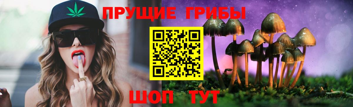 Лесосибирск  Галлюциногенные грибы MAGIC MUSHROOMS  продажа наркотиков  Галлюциногенные грибы Cubensis  Вход с VPN 